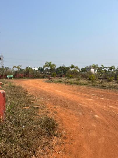 Patrapoda Main Image 1
