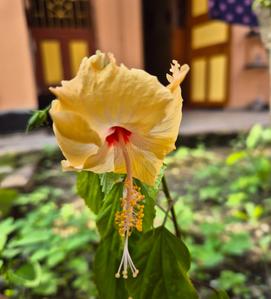 Image of 2165 Sq.ft 2.5 BHK Independent House for sale in Serampore, Hooghly for Rs. 7500000