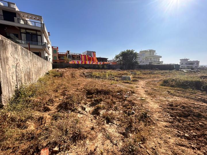 Jogiwala Main Image 1