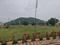Manimangalam Plot View 1