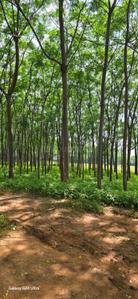 Image of 9000 Sq.ft Residential Plot / Land for sale in Kamsanpalle, Narayanpet for Rs. 7500000