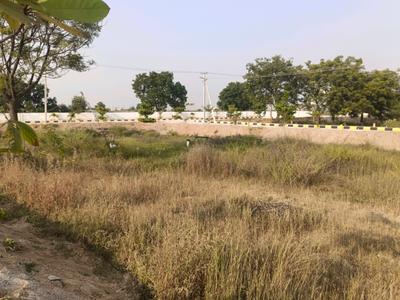 Nuthankal Plot View 2