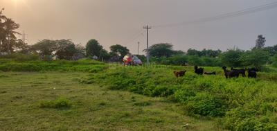 Image of 2250 Sq.ft Residential Plot / Land for sale in Thiruvallur, Chennai for Rs. 1912500