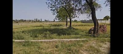 Image of 9000 Sq.ft Residential Plot / Land for sale in Yeida, Greater Noida for Rs. 8000000