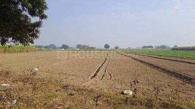 Agricultural Land