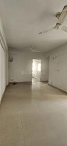 Hall Image of 985 Sq.ft 2 BHK Apartment / Flat for rent in Paras Seasons, Sector 168 Noida for Rs. 21000