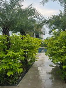 Residential Plot In Premium RERA project Plot View 3