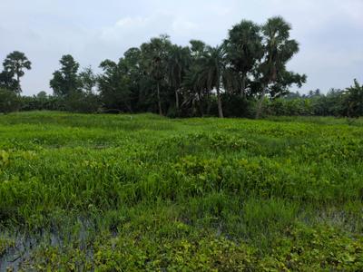Image of 2880 Sq.ft Residential Plot / Land for sale in Natures Paradise, Joka, Kolkata for Rs. 1000008