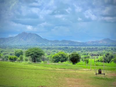 Image of 100 Sq.ft Residential Plot / Land for sale in Khatu, Sikar for Rs. 1150000