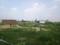 Yeida Main Image 1