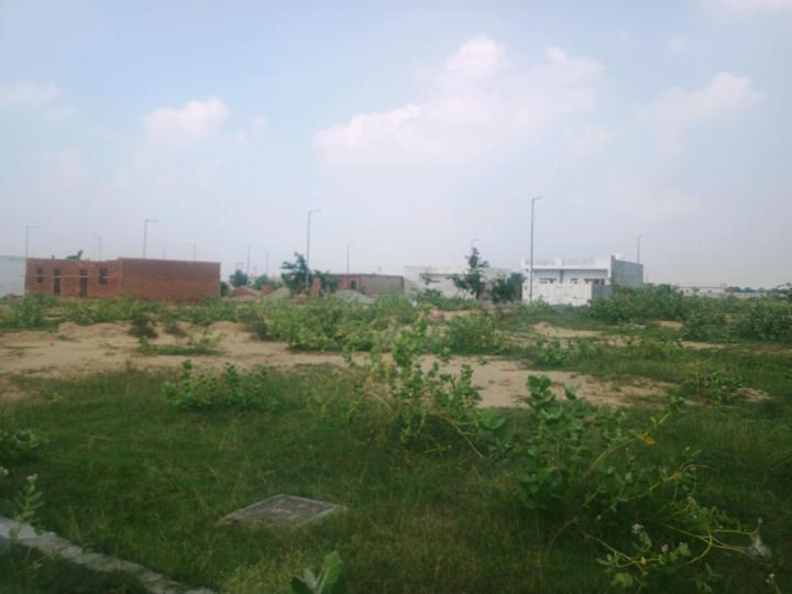 Yeida Main Image 1