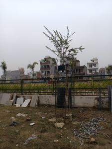Image of 940 Sq.ft Residential Plot / Land for sale in HLP Palmillas Plots, Ramgarh Bhudda, Zirakpur for Rs. 6500000