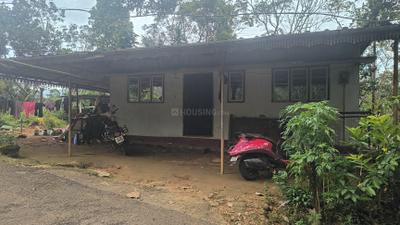 Main Entrance Image of 600 Sq.ft 3 BHK Independent House for sale in Kanjikuzhy Idukki for Rs. 1300000