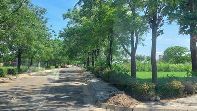 Image of 2250 Sq.ft Residential Plot / Land for sale in One City Hamlet, Sector 98, Mohali for Rs. 35000000