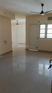 Hall Image of 1450 Sq.ft 2 BHK Apartment / Flat for rent in Thondayad Kozhikode for Rs. 57000