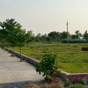 Image of 800 Sq.ft Residential Plot / Land for sale in Amiliha, Kanpur for Rs. 1100000
