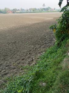 Bipadbhanjan Colony Plot View 3