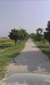 Image of 990 Sq.ft Residential Plot / Land for sale in Banur, Mohali for Rs. 2500000
