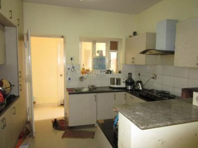 Kitchen Image of 1865 Sq.ft 3 BHK Apartment / Flat for sale in Parkway Tivoli Villa by Parkway Group, K R Puram Bengaluru for Rs. 17000000
