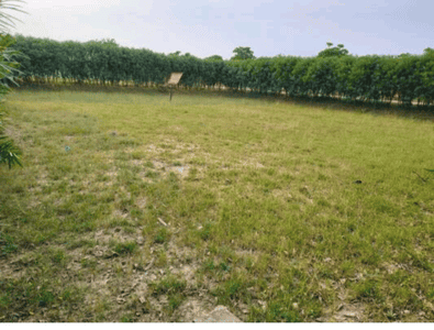 Image of 172 Sq.ft Residential Plot / Land for sale in Ansal Palm County, MDA, Meerut for Rs. 10500000