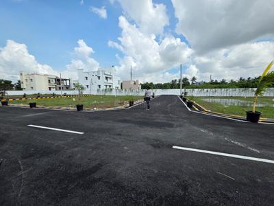 Sekkadu Plot View 3