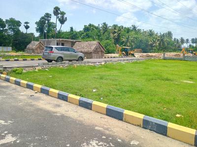 Residential Plot