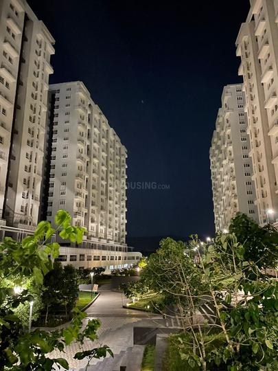 Mohammed Wadi Main Image 1