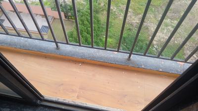 Bedroom Image of 1204 Sq.ft 2 BHK Apartment / Flat for sale in Sumerru Sky Leaf, Jahangirabad Surat for Rs. 4300000