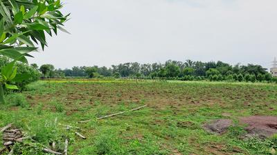 Image of 6000 Sq.ft Residential Plot / Land for sale in Sejbahar, Raipur for Rs. 4500000