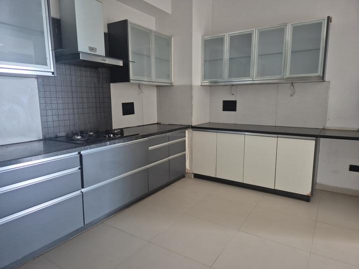 Pride Purple Park Titanium Main Image 1