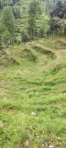Mukteshwar Plot View 2