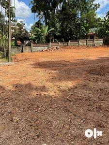 Residential Plot