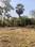 Sarawali Plot View 2