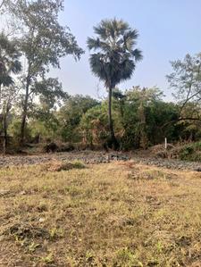 Image of 1000 Sq.ft Residential Plot / Land for sale in Boisar, Mumbai for Rs. 1000000