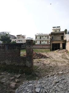 Sector 8 Plot View 2