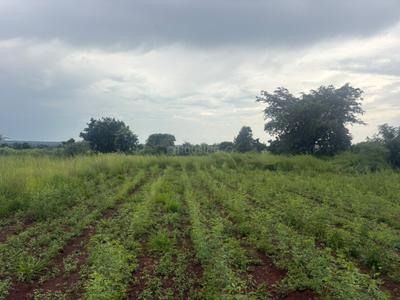 Image of 650 Sq.ft Residential Plot / Land for sale in Vikarabad Town, Vikarabad for Rs. 5200000