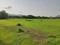Swarajya Infrastructure Vindhane Main Image 1