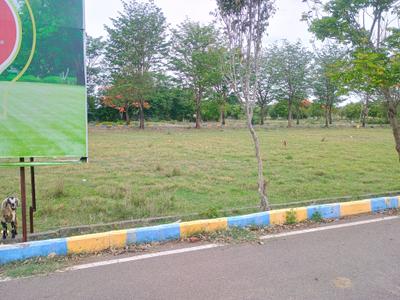 Image of 1290 Sq.ft Residential Plot / Land for sale in Chengalpattu, Chennai for Rs. 2838000