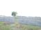 BDL GROUP ROYAL CITY Plot View 2