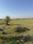 Mahlan Main Image 1