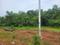 BASUDHA JANKIA Plot View 2