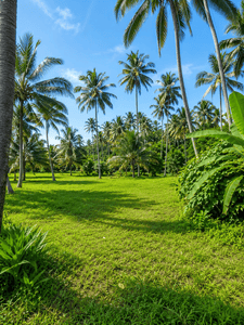 Image of 43560 Sq.ft Residential Plot / Land for sale in Thrippunithura, Kochi for Rs. 150000000