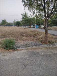Suprabhat 4 Township Plot View 3