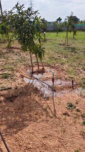 Farmlands available Plot View 2