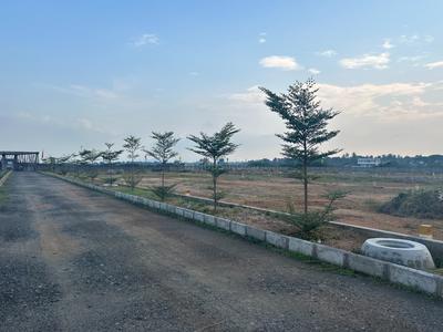 Image of 167 Sq.ft Residential Plot / Land for sale in Tallavalasa, Visakhapatnam for Rs. 3674000