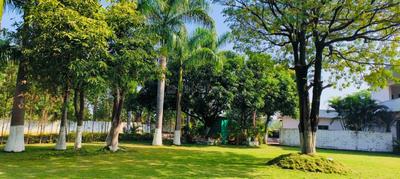 Satya Sahi vihar Wanadogari Plot View 2