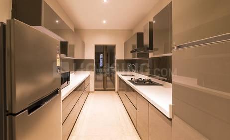 Amey Nicco Main Image 1