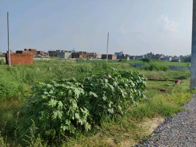 Image of 540 Sq.ft Residential Plot / Land for sale in Girdharpur Sunarasi, Ghaziabad for Rs. 1560000