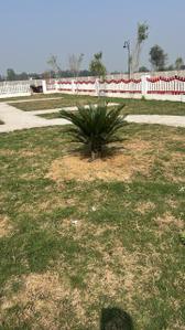 Image of 1750 Sq.ft Residential Plot / Land for sale in Iscon Green City, Gosainganj, Lucknow for Rs. 4287500