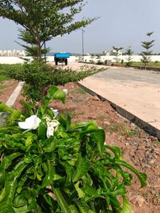 Image of 1353 Sq.ft Residential Plot / Land for sale in SUNSIRI THE ICON, Tadikonda, Guntur for Rs. 3675000